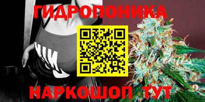 2c-b Нягань