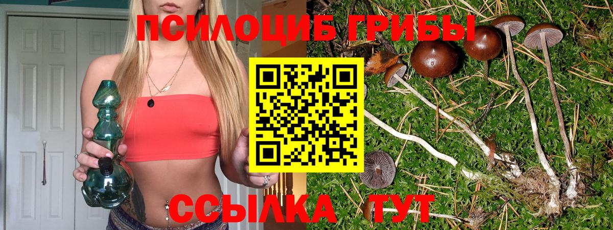 Псилоцибиновые грибы Cubensis  Вход с VPN  Саратов 